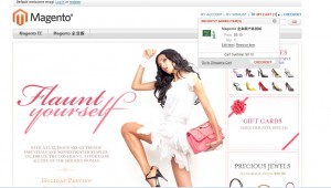 magento ee demo